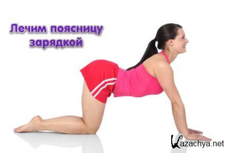 ����� �������� �������� (2013)