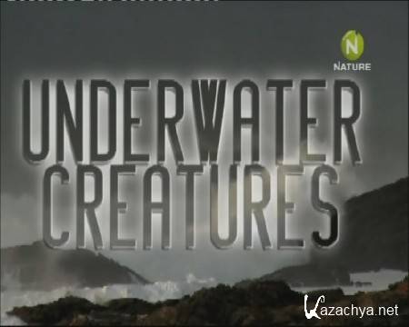   / Underwater Creatures (2011) SATRip-AVC