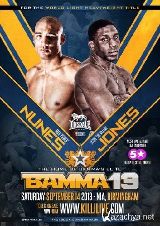 BAMMA 13: Night Of Champions (2013) SDTVRip