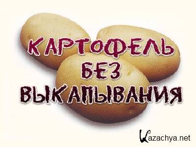 ��������� ��� ����������� (2013)