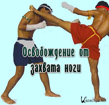 ������������ �� ������� ���� (2013) 