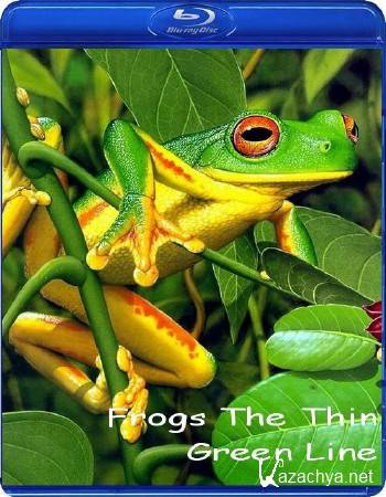 National Geographic:     / National Geographic: Frogs The Thin Green Line (2009) HDTVRip