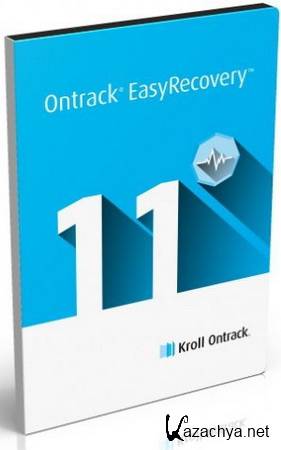 Ontrack EasyRecovery Professional 11.0.1.0 (2013)  | Portable