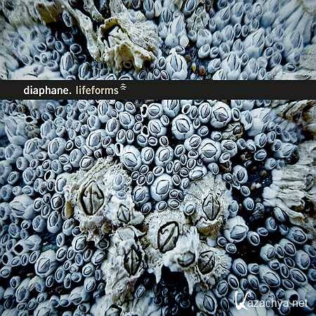 Lifeforms By Diaphane(2013, 3)