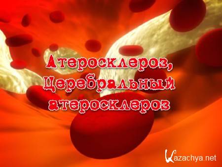 ������������, ������������ ������������ (2013)