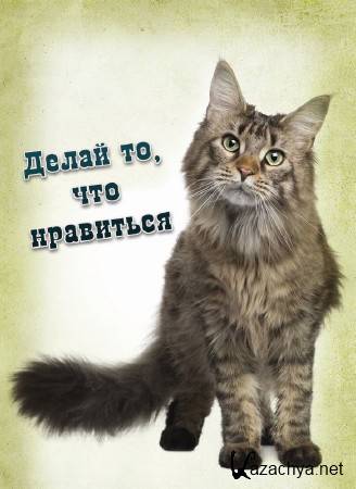 ����� ��, ��� ��������� (2013)