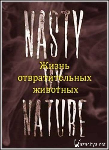    / Discovery: Nasty by Nature (2008) HDTVRip