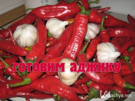 ������� ������ (2013) 