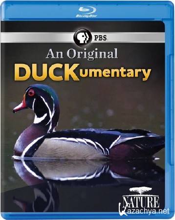      / PBS: Nature  An Original DUCKumentary (2012) BDRip