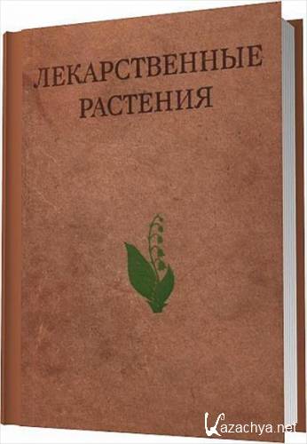 ������������� �������� (��������-��������)