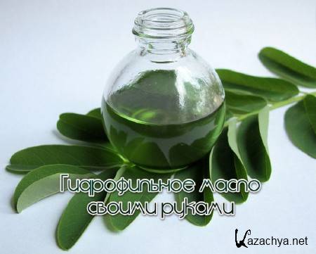 ������������ ����� ������ ������ (2013)