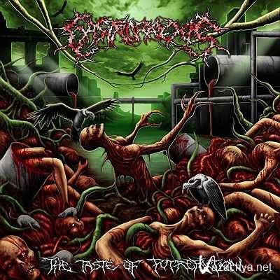 Gastrorrexis - The Taste Of Putrefication (2013, 3)