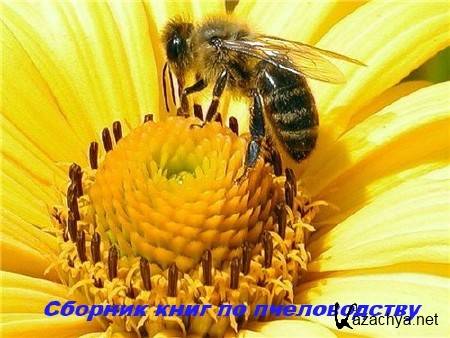   C   ,     (1861 - 2013) 169 