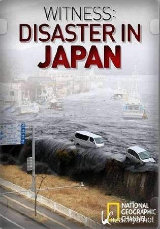    / Witness : Disaster in Japan (2011) HDTVRip 1080p