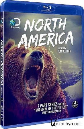 Discovery:   (1 : 1-7   7) / Discovery: North America (2013) HDTVRip