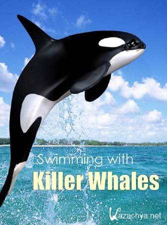 BBC:    / BBC: Swimming with Killer Whales (2012) WEBRip 