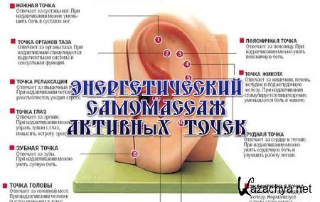 �������������� ���������� �������� ����� (2013) 