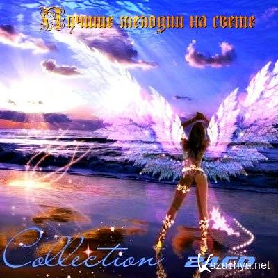     - Collection 24 CD (2006-2009) 