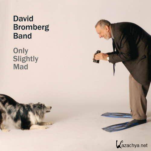 David Bromberg Band - Only Slightly Mad  (2013)