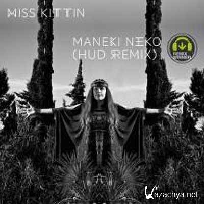Miss Kittin  Maneki Neko (Hud Remix) (2013)