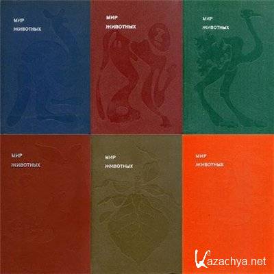 ����� ���������. ������� ������� � 19 �����