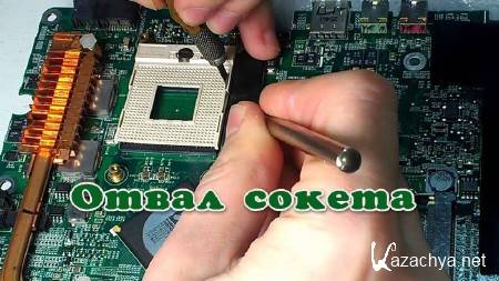 ����� ������ (2013) 