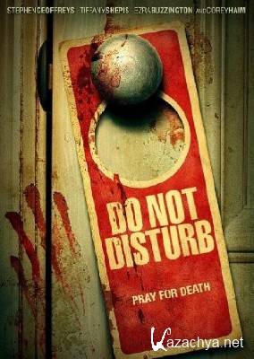   / Do Not Disturb (2013/WEB-DLRip/700MB)