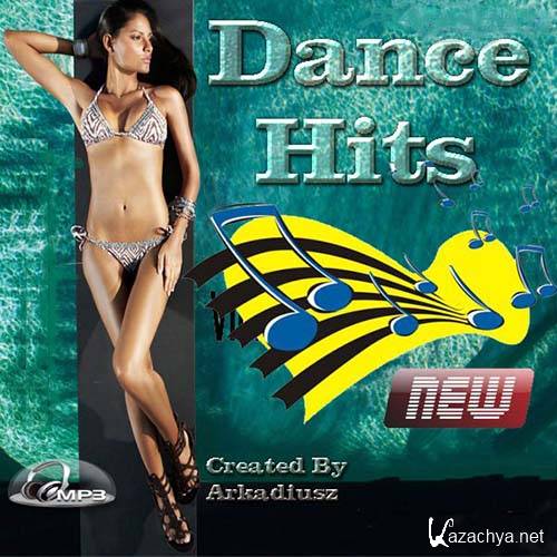 VA - Dance Hits Vol.306  (2013)