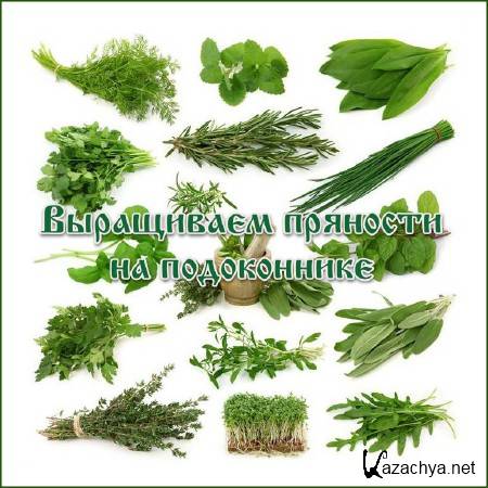 ���������� �������� �� ����������� (2013)