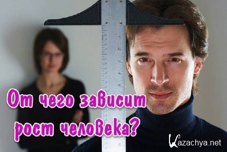 �� ���� ������� ���� ��������? (2013)