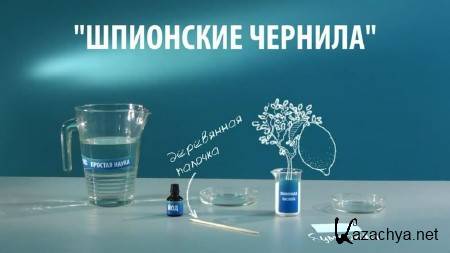 ��������� �������  � ������ ����� (2013)