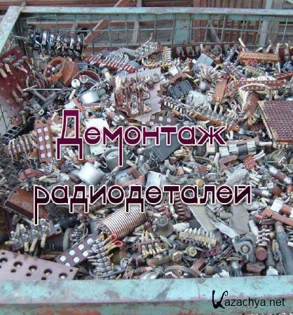 �������� ������������ (2013)