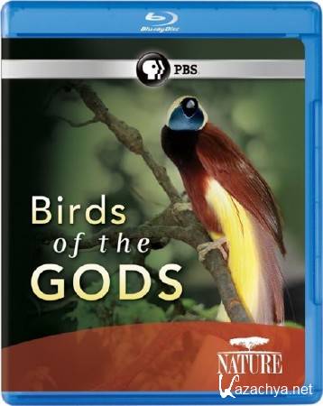  .   /Nature - Birds of the Gods (2010) BDRip-AVC