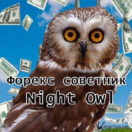 Forex  "Night Owl" 