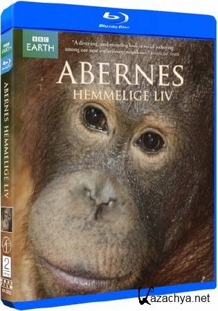 BBC.   / BBC. The Secret Life of Primates [01-04  04] (2009) BDRip-AVC