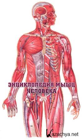 ������������ ���� �������� (2013)