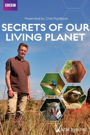    / BBC. How Nature Works (01-04  04) (2012) BDRip 1080p