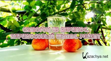 ������� �� �������. ����������� �����. ������ (2013)