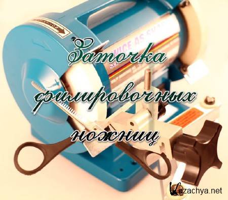 ������� ������������ ������ (2013)