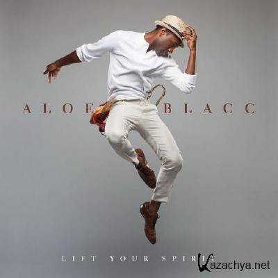 Aloe Blacc - Lift Your Spirit (2013)
