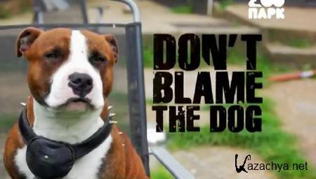    / Don't Blame the Dog (1-6   6) (2012) SATRip