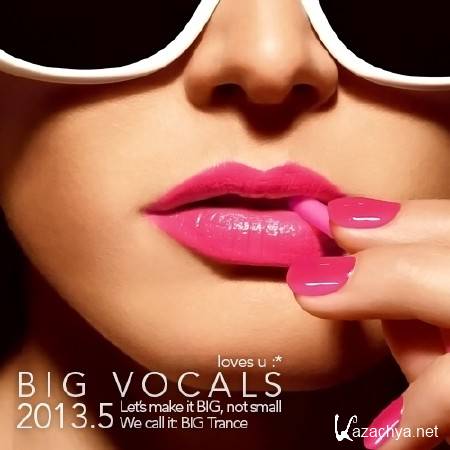 BIG Vocals 2013.5 (2013)