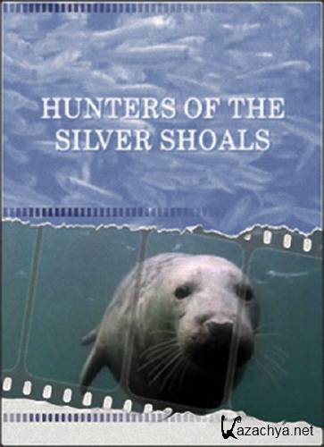   .    / Kingdoms of Survival. Hunters of the Silver Shoals (1996) SATRip