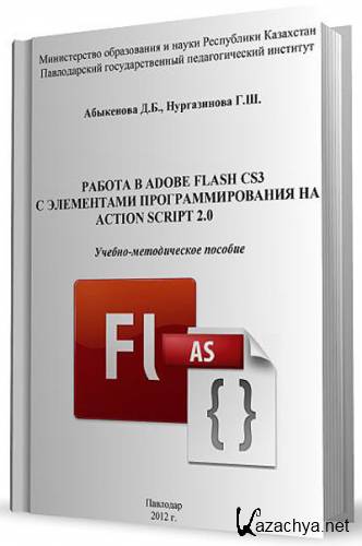   Adobe Flash CS3     Action Script 2.0