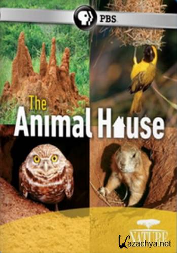 PBS:  -   / The Animal House (2011) BDRip