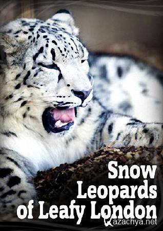      (1 : 1-7   7) / Snow Leopards of Leafy London (2013) HDTV (1080i)