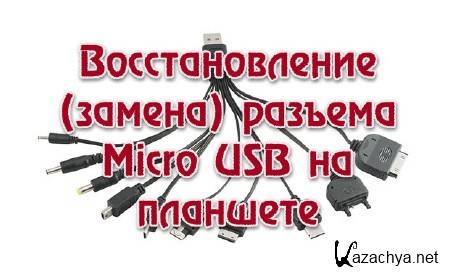  ()  Micro USB   (2013)