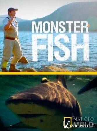 -.  ! / Monster fish: River shark! (2012) IPTVRip