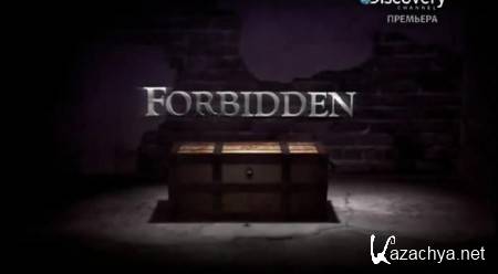  .   / Forbidden (2013) WEBRip