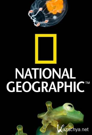 National Geographic :   / National Geographic : The Octopus show (2000) DVDRip